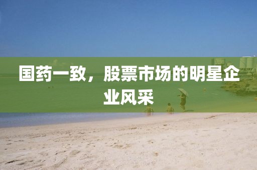国药一致，股票市场的明星企业风采