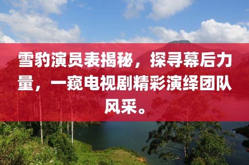 雪豹演员表揭秘，探寻幕后力量，一窥电视剧精彩演绎团队风采。