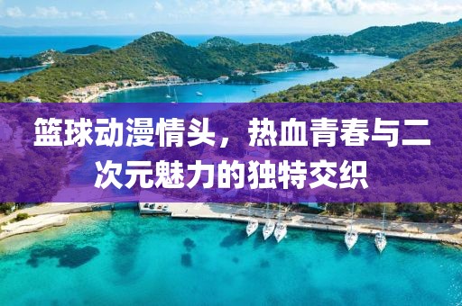 篮球动漫情头，热血青春与二次元魅力的独特交织
