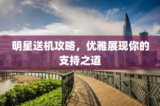 明星送机攻略，优雅展现你的支持之道