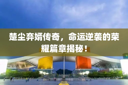 楚尘弃婿传奇，命运逆袭的荣耀篇章揭秘！