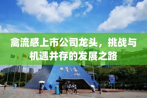 禽流感上市公司龙头，挑战与机遇并存的发展之路