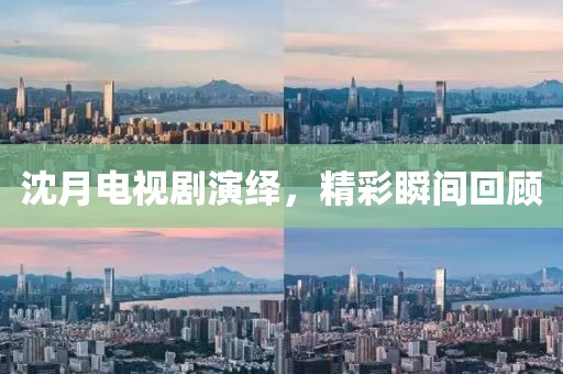 沈月电视剧演绎，精彩瞬间回顾