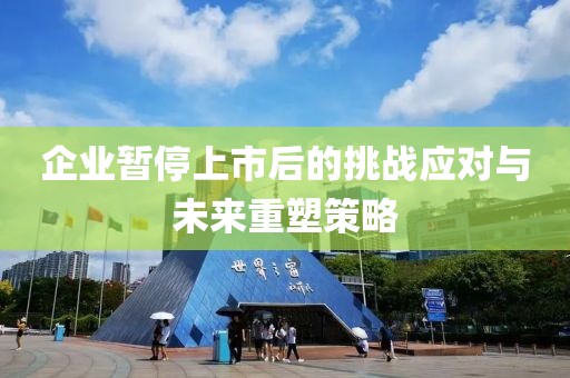 企业暂停上市后的挑战应对与未来重塑策略