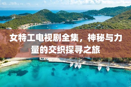 女特工电视剧全集，神秘与力量的交织探寻之旅