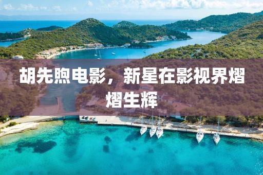 胡先煦电影，新星在影视界熠熠生辉