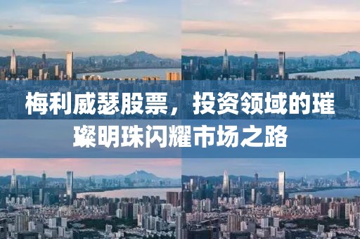 梅利威瑟股票，投资领域的璀璨明珠闪耀市场之路