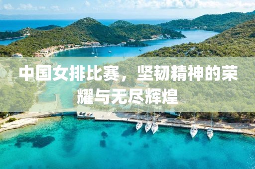 中国女排比赛，坚韧精神的荣耀与无尽辉煌