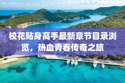 校花贴身高手最新章节目录浏览，热血青春传奇之旅