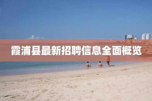 霞浦县最新招聘信息全面概览