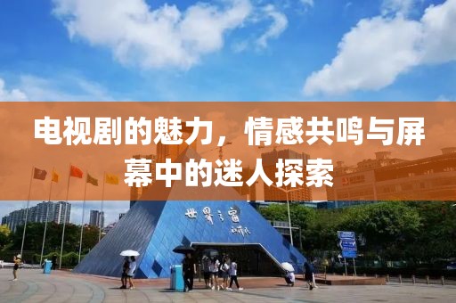 电视剧的魅力，情感共鸣与屏幕中的迷人探索