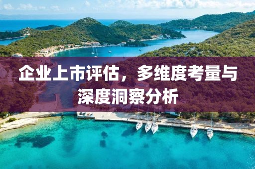 企业上市评估，多维度考量与深度洞察分析