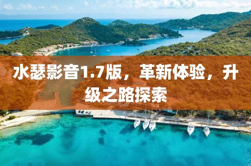 水瑟影音1.7版，革新体验，升级之路探索