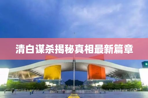 清白谋杀揭秘真相最新篇章