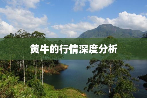 黄牛的行情深度分析