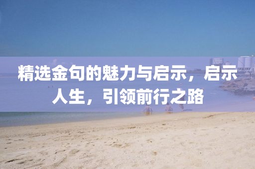 精选金句的魅力与启示，启示人生，引领前行之路