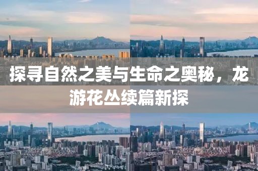 探寻自然之美与生命之奥秘，龙游花丛续篇新探