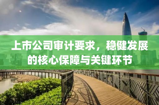 上市公司审计要求，稳健发展的核心保障与关键环节