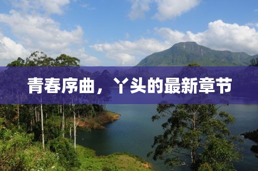 青春序曲，丫头的最新章节