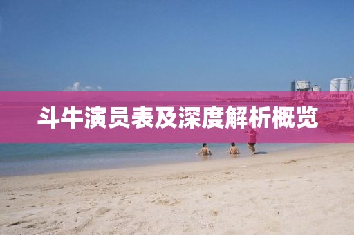 斗牛演员表及深度解析概览