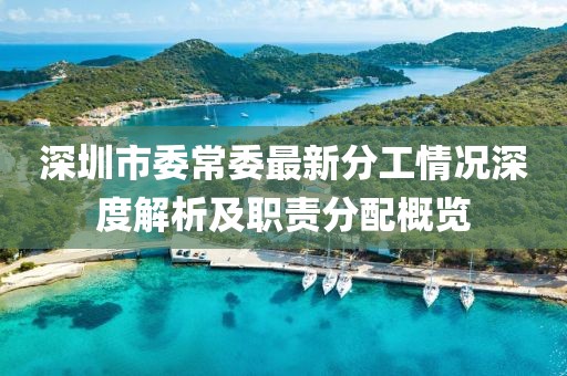 深圳市委常委最新分工情况深度解析及职责分配概览