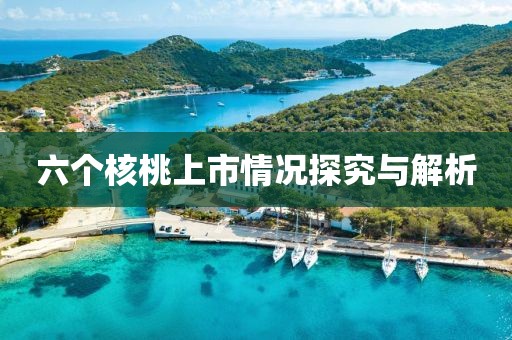 六个核桃上市情况探究与解析