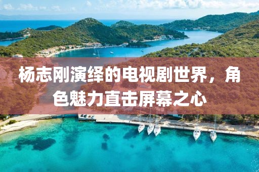 杨志刚演绎的电视剧世界，角色魅力直击屏幕之心
