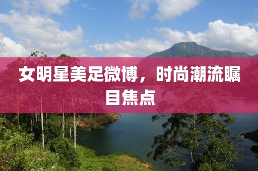 我厨神丫头 第4页