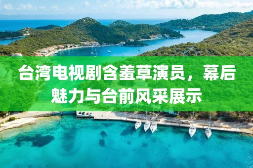 台湾电视剧含羞草演员，幕后魅力与台前风采展示