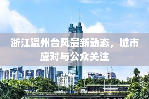 浙江温州台风最新动态，城市应对与公众关注