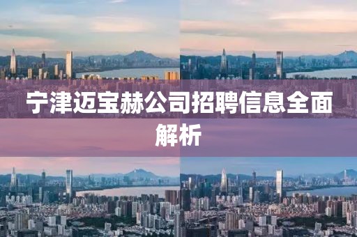 宁津迈宝赫公司招聘信息全面解析
