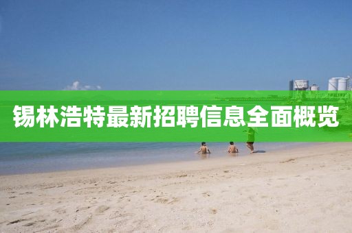 锡林浩特最新招聘信息全面概览