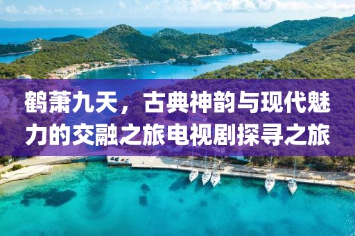 鹤萧九天，古典神韵与现代魅力的交融之旅电视剧探寻之旅