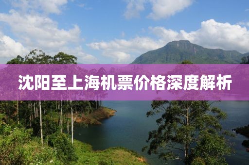 沈阳至上海机票价格深度解析