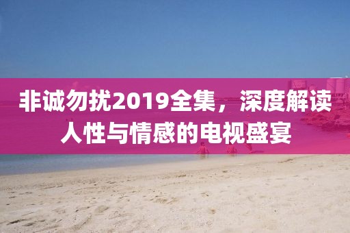 非诚勿扰2019全集，深度解读人性与情感的电视盛宴
