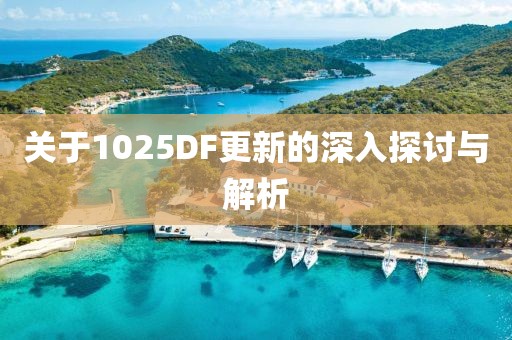 关于1025DF更新的深入探讨与解析