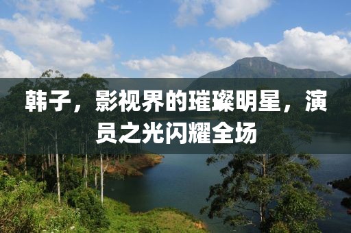 韩子，影视界的璀璨明星，演员之光闪耀全场