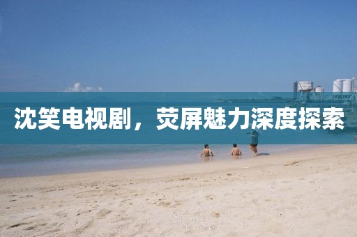 沈笑电视剧，荧屏魅力深度探索