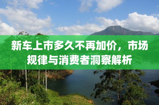 新车上市多久不再加价，市场规律与消费者洞察解析
