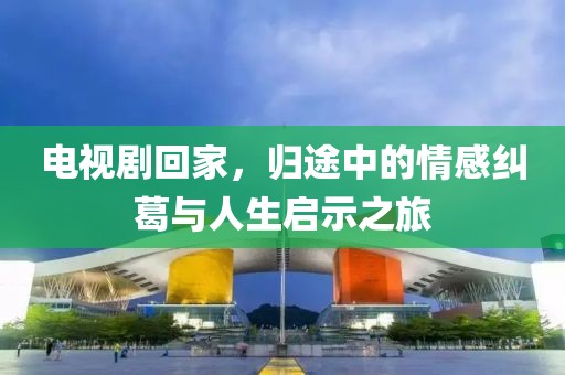 电视剧回家，归途中的情感纠葛与人生启示之旅