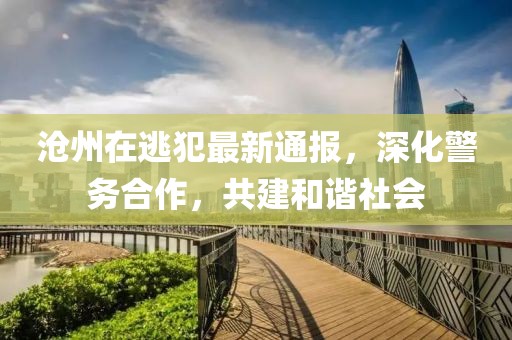 沧州在逃犯最新通报，深化警务合作，共建和谐社会