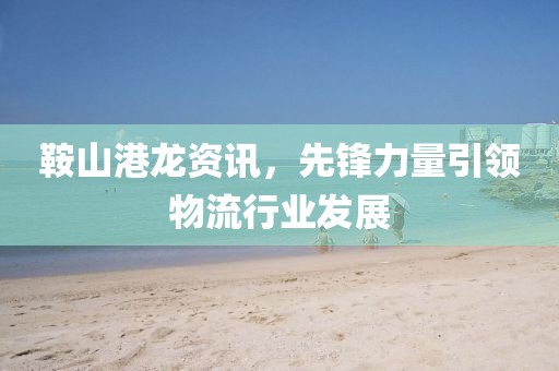 鞍山港龙资讯，先锋力量引领物流行业发展