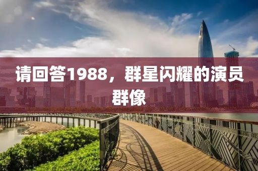 请回答1988，群星闪耀的演员群像