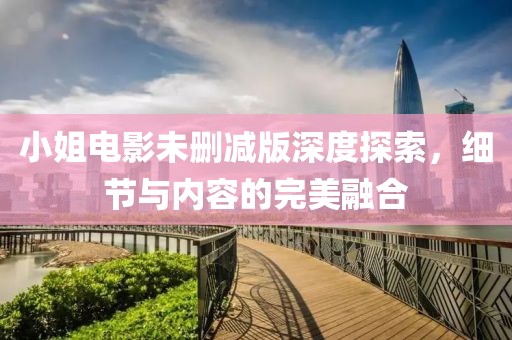 小姐电影未删减版深度探索，细节与内容的完美融合