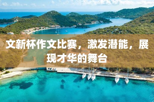 文新杯作文比赛，激发潜能，展现才华的舞台