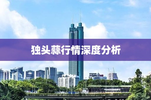 独头蒜行情深度分析