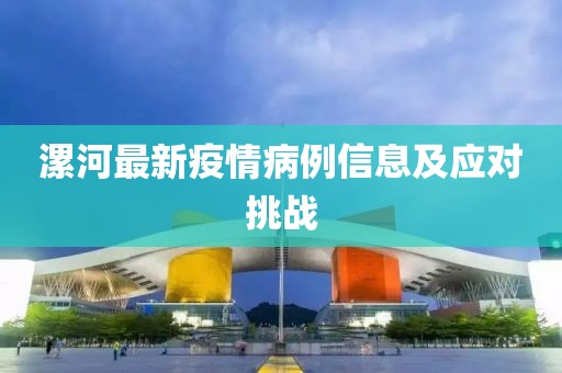 漯河最新疫情病例信息及应对挑战