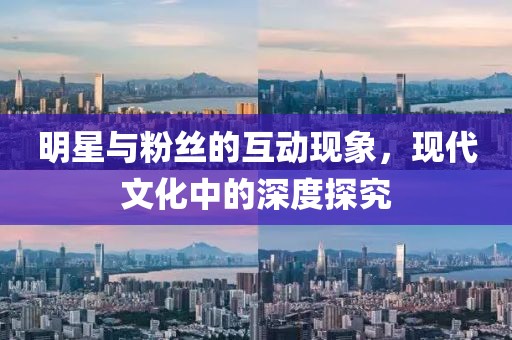 明星与粉丝的互动现象，现代文化中的深度探究