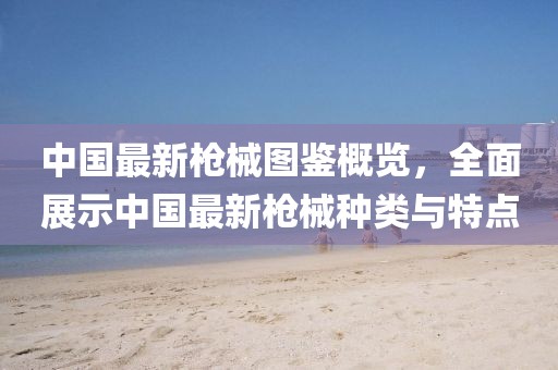 中国最新枪械图鉴概览，全面展示中国最新枪械种类与特点