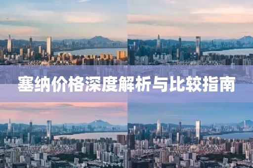 塞纳价格深度解析与比较指南